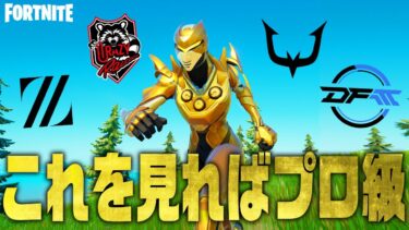 【有料級】プロが大会の立ち回りを完全解説します【フォートナイト/Fortnite】