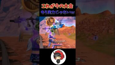 ソロ決勝でチーターいるのはやばいって😇🤬#チート #フォートナイト #fortnite #shorts #チートデイ