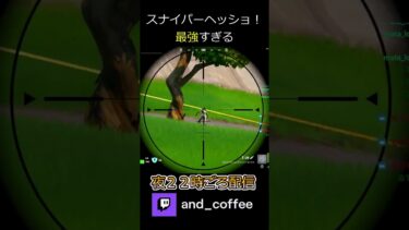 スナイパーヘッショ！#fortnite #フォートナイト #ゲーム実況 #フォトナ