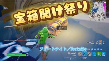 フォートナイト　実況プレイ　パート5　fortnite gameplay part5