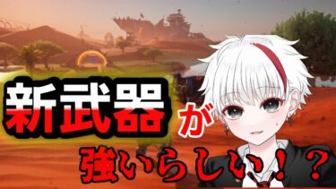フォトナのアプデ後がやばすぎた…w【Fortnite/フォートナイト】
