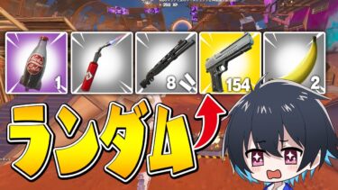 アイテム5枠が完全ランダムでソロランクに挑戦!!【フォートナイト/Fortnite】