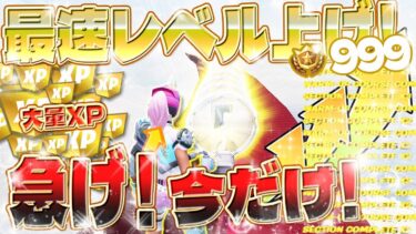 【フォートナイト無限XP】最大50万XP！最新！最速レベルあげ！上限いっぱい稼げるXPマップがヤバすぎたwww 超簡単に経験値が稼げる！ #fortnite