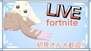 のんびりフォートナイト配信