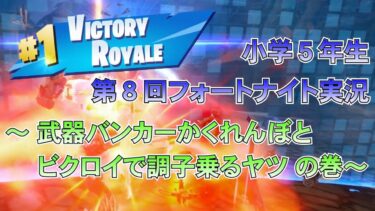 小学５年生☆第８回フォートナイト実況☆～武器バンカーかくれんぼとビクロイで調子乗るヤツの巻～
