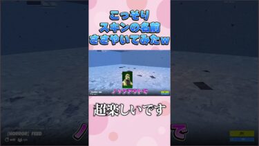 スキンの名前ささやいてみた【フォートナイト/Fortinte】