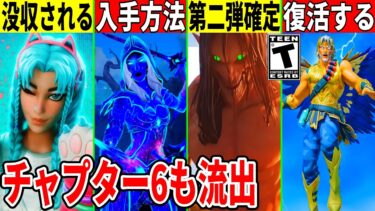 ミスで限定アイテム再販！無料スキンが没収？新たな激レアスキンが判明！チャプター6や神コラボ情報が流出した件も解説！【フォートナイト】【フォトナ】【リーク情報】【シーズン4】【キャタリナ】無料アイテム