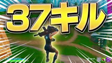 昔のフォトナで37キルソロスクワッド【フォートナイト/Fortnite】