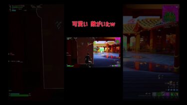 ランク終盤で可愛い敵がいた　#fortnite #フォートナイト #ゲーム実況 #ランクマッチ #キル