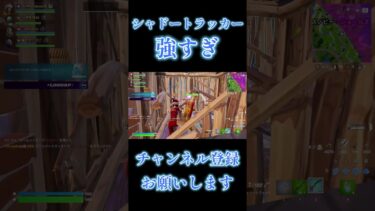 シャードトラッカーが強すぎたｗ#バズれ #おすすめにのりたい#fortnite #neckose #フォートナイト