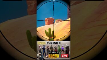 ワンパン好きのための動画　#fortnite #フォートナイト #ゲーム実況