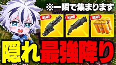 【まだバレてない】10秒でミシックミニガンと神物資が揃う最強降りがヤバすぎたｗｗ【フォートナイト/FORTNITE】