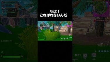 いつばれるのかしら？#shorts #フォートナイト #fortnite #ハイド#フォートナイト女子