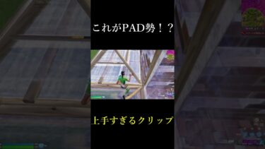 これがPAD！？限界を超えた編集最速PAD勢がやばい… #shorts