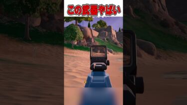 世界最強も持つ○○武器が強い理由が…🤯【フォートナイト / Fortnite】