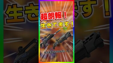 超朗報‼️‼️消されるとリークされていたみんなの大好き武器がまだ生きてます‼️‼️【フォートナイト/fortnite】