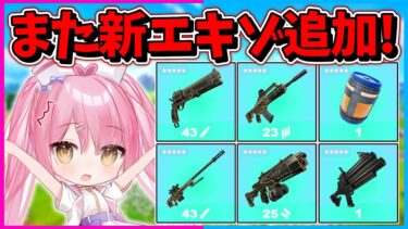 【フォートナイト】え？まさかの新エキゾがまた追加？！アプデで追加された新エキゾチックがぶっ壊れすぎるんだけど！！！！【ゆっくり実況/Fortnite/縛り/ネオンch/茶番】