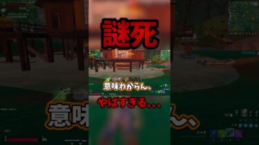 【小学生】な、なんで！？やばすぎるぅ【フォートナイト】