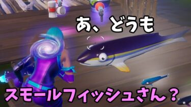 キル集の裏側148【フォートナイト】