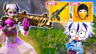 アプデで武器と新メダリオンが追加！ぶっ壊れすぎるｗｗ【フォートナイト/FORTNITE】