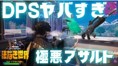 【フォートナイト】DPSヤバすぎ！極悪アサルトじぇねぇか！！【FORTNITE】