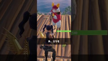 天空の敵に会いに行こうとしてる人【フォートナイト/Fortnite】