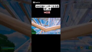 ヤバすぎクリップ#short#フォートナイト#おすすめ#100日後に上手くなる直差し勢