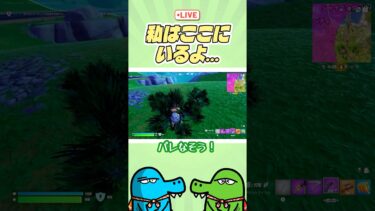 私はここにいるよ…。 #フォートナイト #fortnite #ゼロビルド #ゼロビルドソロ  #ゲーム実況