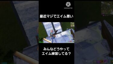 マジでエイムやばいー#フォートナイト#fortnite #fortniteshorts #shortvideo #shorts #short