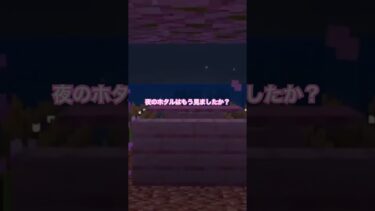 夜のホタルはもう見た？夜景スポットを作ってみたらすごく素敵だよー( *´ω`* )/✨#ゲーム実況 #女性実況者 #ライブ配信 #マイクラ統合版
