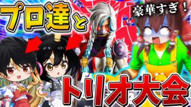 【神回】えぐすぎ、、”プロチーム”所属の方々がゆっくり達を乗っ取って大暴走！？何度も危機を乗り越え、衝撃の結果に、、【フォートナイト】【ゆっくり実況】【チャプター6】【シーズン2】