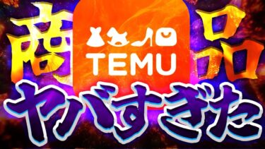 TEMUで購入した製品がやばすぎた…… 【Fortnite】