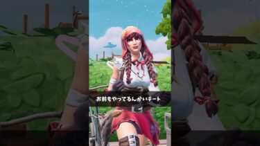 ダメージ数がぶっ壊れてる武器【フォートナイト/Fortnite】
