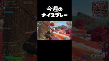 今週の上手すぎる名場面#フォートナイト #fortnite #ゲーム実況 #shorts#クリップ