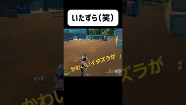 かわいいイタズラ#フォートナイト #fortnite #ゲーム実況 #shorts #おもしろ
