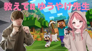 【マインクラフト】＊２　いざ！冒険へ！！　　#顏出し　#fortnite 　#女性実況