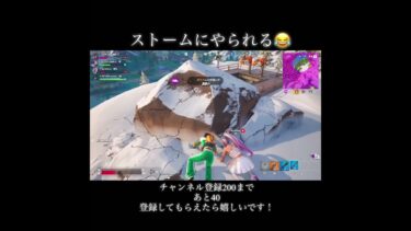 隠れても一緒w #shorts #fortnite #フォートナイト #ゲーム実況 #初心者＃面白い＃おもしろ#チャンネル登録お願いします