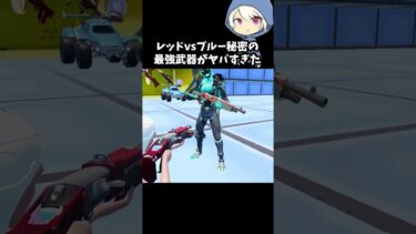 レッドvsブルー秘密の最強武器がヤバすぎた#フォートナイト #fortnite