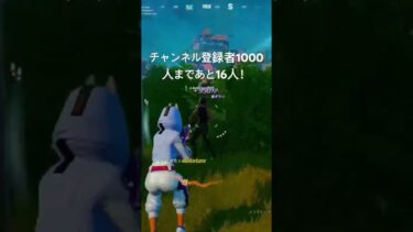視点荒すぎてやばいwww#フォートナイト #fortnite #fyp #shorts #キーマウ初心者
