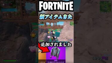 みんなの評価は?【フォートナイト/fortnite】#shorts #fortnite #フォートナイト #ゲーム実況 #ランク #アップデート #アイテム #shortsfeed