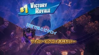 （ゲーム実況）妹とフォートナイトで1発で天空ビクロイしてみた！