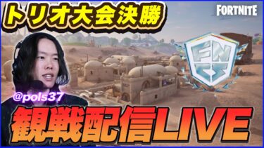 【トリオ決勝観戦】新環境スターウォーズ新トリオ続出!!:カオスすぎる世界で勝つのは誰だ!?【フォートナイト】