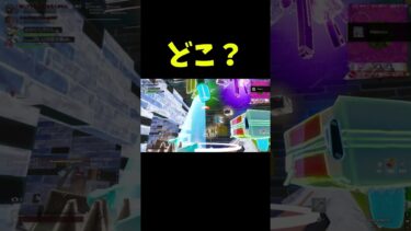 敵はどこだー#フォートナイト #fortnite #shorts #ゲーム実況 #面白い
