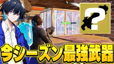 今シーズン圧倒的最強武器と使い方を紹介します！【フォートナイト/Fortnite】