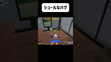 シュールすぎる（笑）#フォートナイト #fortnite #ゲーム実況 #shorts #バグ