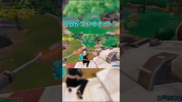 これやばい笑 #フォートナイト #フォトナ #fortnite #shorts