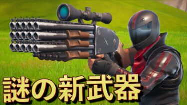 意味不明すぎる武器がマジで笑えるんだがww【FORTNITE/フォートナイト】