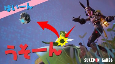 ゼロビルド◆最終局面でのソレはやば過ぎました（泣）本気おやこーずの挑戦(フォートナイト-C6S3)