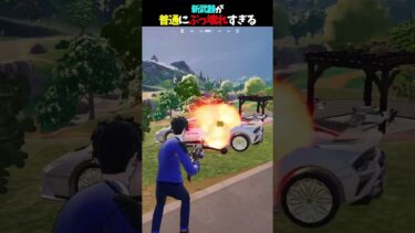 新武器がぶっ壊れすぎるんだけどどう？ 【フォートナイト】【ゼロビルド】