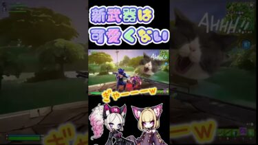 【 新武器 】ストームビーストのポンポンは踊ってからがやばいｗ可愛くないｗ【フォートナイト 配信 】ゼロビルド #fortnite #フォートナイト #ゲーム配信